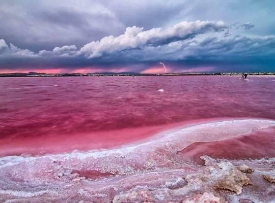 New Build - Appartement - Torrevieja - Centro