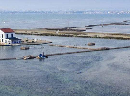 New Build - Lägenhet - San Pedro del Pinatar - Villananitos