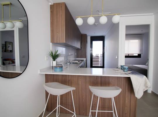 New Build - Townhouse - Pilar de la Horadada - parque Andromeda