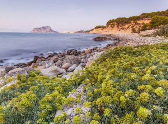 New Build - Villa - Benissa - Cala Advocat