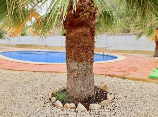 New Build - Villa - La Romana