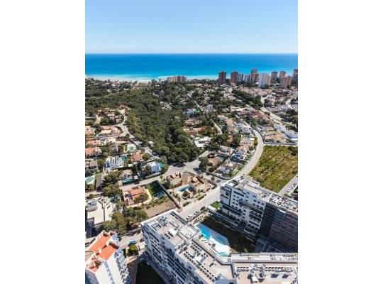 New Build - Villa - Orihuela Costa - Dehesa de campoamor