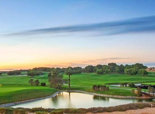 New Build - Villa - Pilar de la Horadada - Lo romero golf