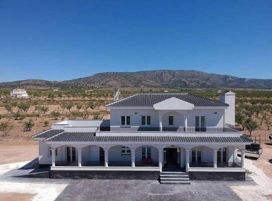 New Build - Villa - Pinoso - Camino Del Prado