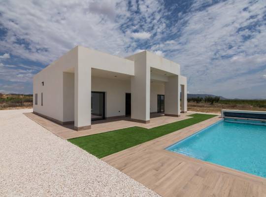 New Build - Villa - Pinoso - Campo