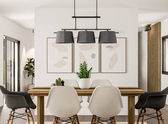 New Build - Villa - Pinoso - Campo