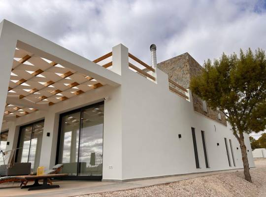 New Build - Villa - Pinoso - Casas Pastor
