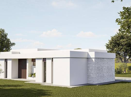 New Build - Villa - Pinoso - Lel