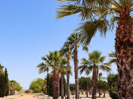 New Build - Villa - San Fulgencio - La Escuera