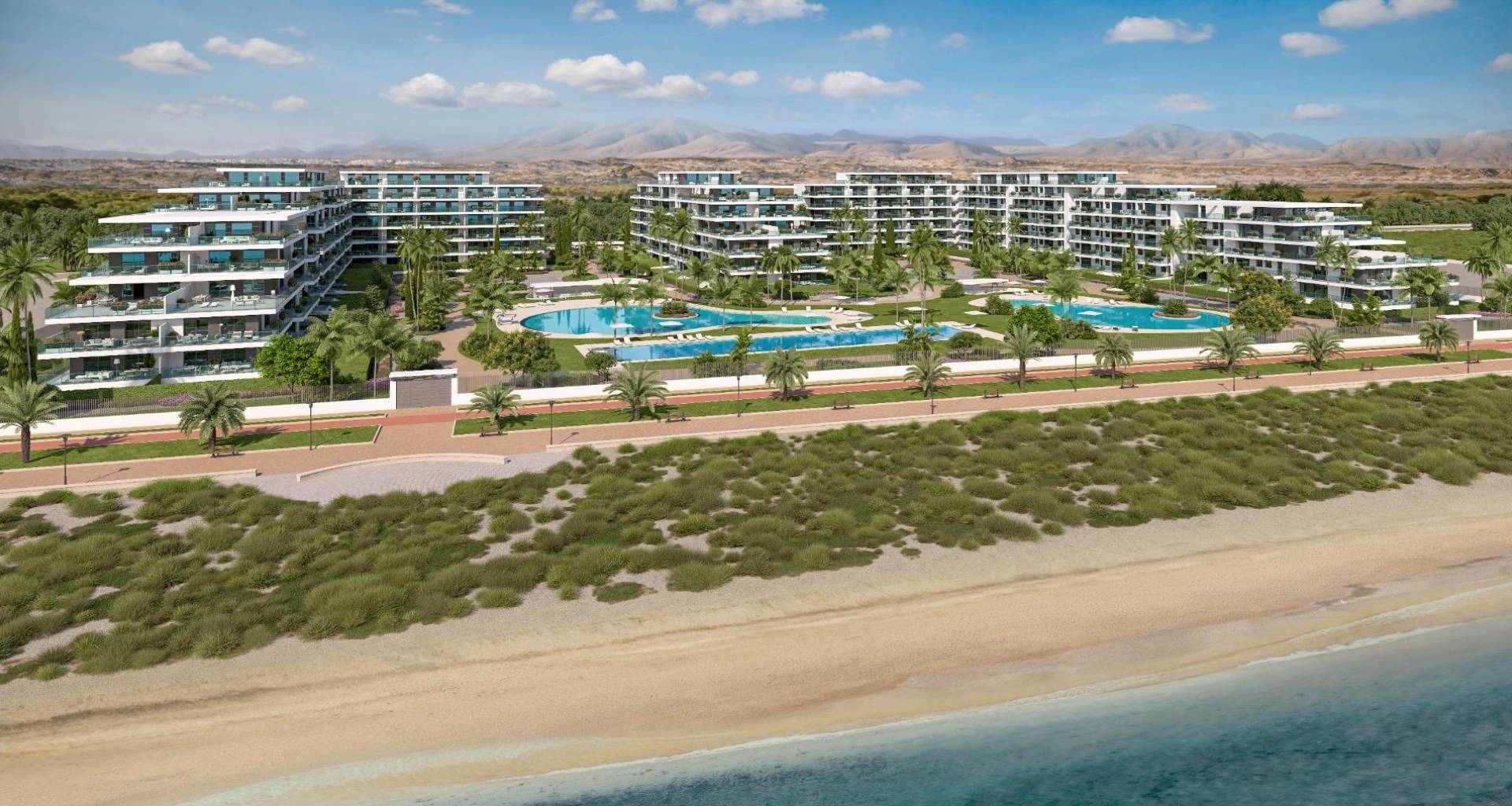 Obra nueva - Apartamento - Almerimar - Primera Linea De Playa