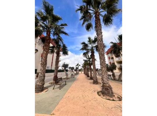 Obra nueva - Ático - Orihuela Costa - Lomas de Cabo Roig 