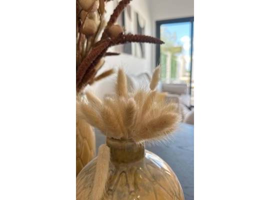 Obra nueva - Bungalow - San Fulgencio - Pueblo