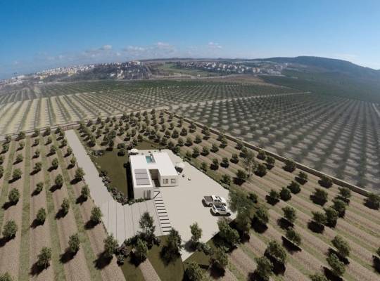 Obra nueva - Chalet - Algorfa - Lomas De La Juliana