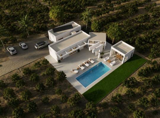 Obra nueva - Chalet - Benejúzar - alta