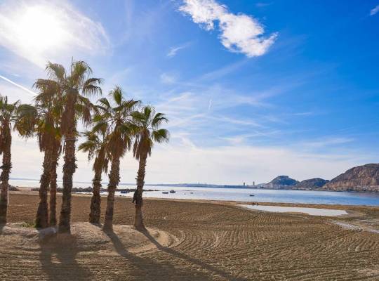 Obra nueva - Chalet - Els Poblets - Marina Alta