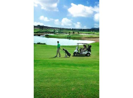 Obra nueva - Chalet - Orihuela - Vistabella Golf