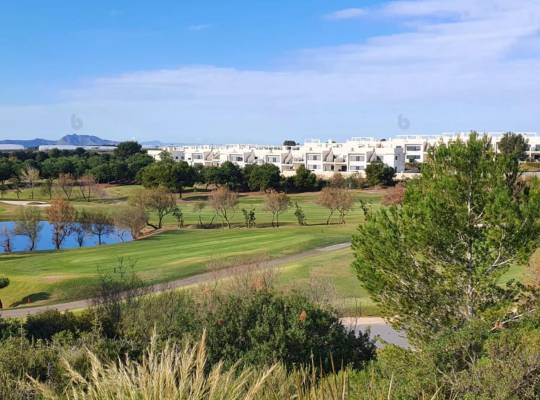 Obra nueva - Chalet - Pilar de la Horadada - Lo romero golf