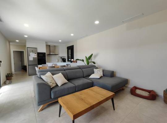 Obra nueva - Chalet - Pinoso - Campo