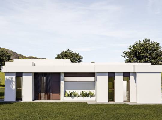 Obra nueva - Chalet - Pinoso - Lel