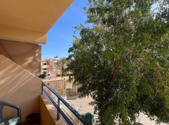 Resale - Studio - Torrevieja - Urb. Rosaleda