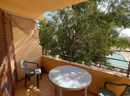 Resale - Studio - Torrevieja - Urb. Rosaleda