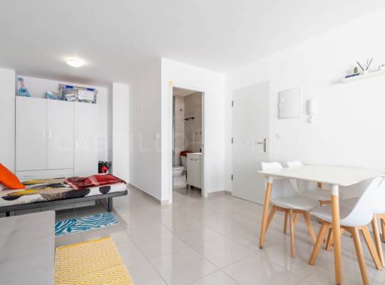 Segunda mano - Estudio - Torrevieja - Centro