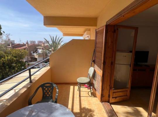 Segunda mano - Estudio - Torrevieja - Urb. Rosaleda