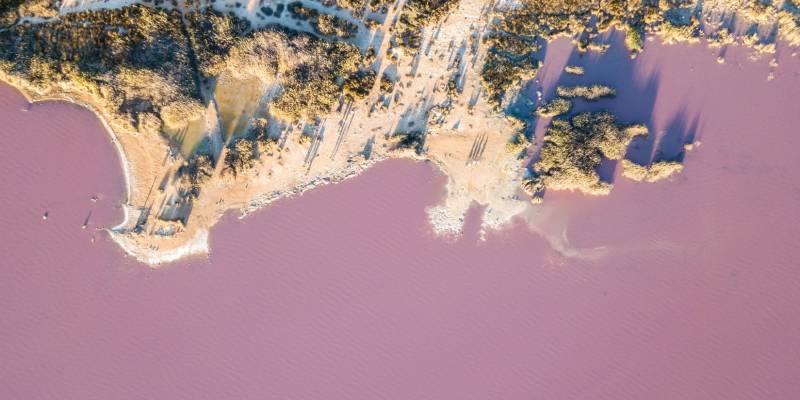 Costa Blanca: Laguna Rosa de Torrevieja